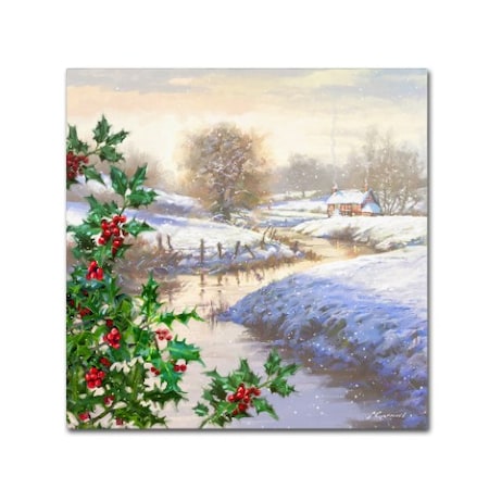 The Macneil Studio 'Christmas Stream' Canvas Art,14x14